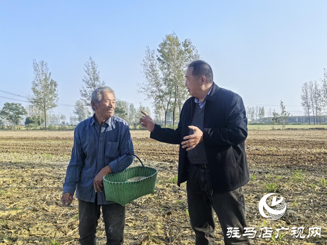 驛城區(qū)：農(nóng)技服務(wù)沉一線(xiàn) 秋播麥田“底氣足”