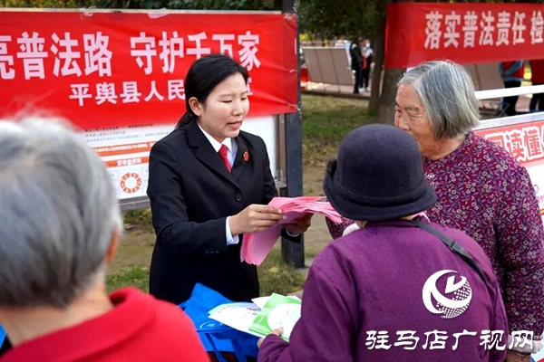 平輿縣人民法院：讓“法治”走到人民群眾身邊
