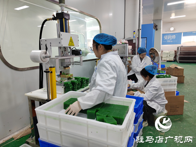 河南杞樂生物科技：奮戰(zhàn)四季度 全力沖刺全年銷售目標(biāo)