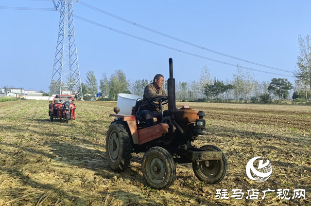 驛城區(qū)：農(nóng)技服務(wù)沉一線(xiàn) 秋播麥田“底氣足”