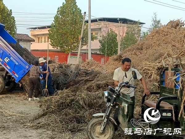 平輿縣民政局結(jié)對幫扶東和店鎮(zhèn)高莊村持續(xù)做好秸稈禁燒清運工作