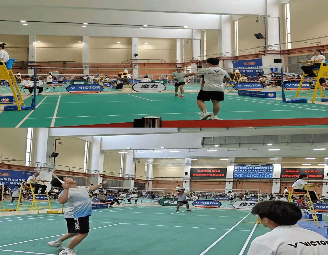  喜報！駐馬店職業(yè)技術學院在2025年河南省多項體育賽事中再創(chuàng)佳績