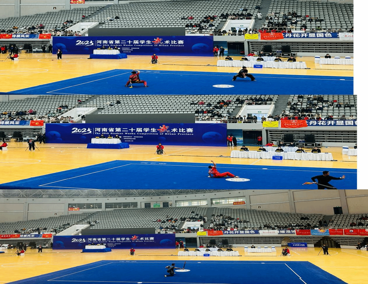  喜報！駐馬店職業(yè)技術學院在2025年河南省多項體育賽事中再創(chuàng)佳績