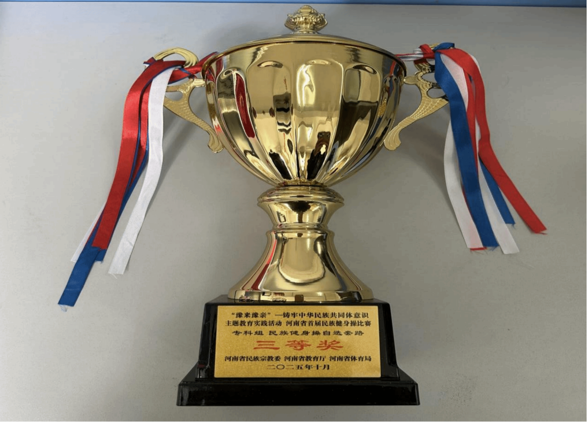  喜報！駐馬店職業(yè)技術學院在2025年河南省多項體育賽事中再創(chuàng)佳績