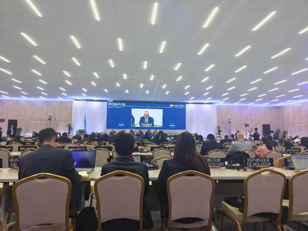 全球首個！每年3月21日，正式設(shè)立→