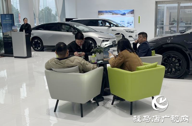 駐馬店:新能源汽車市場持續(xù)火熱 政策技術(shù)雙輪驅(qū)動消費(fèi)增長