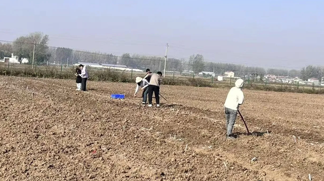 晚播小麥如何保豐收？平輿縣農(nóng)技專家開(kāi)出四劑“良方”