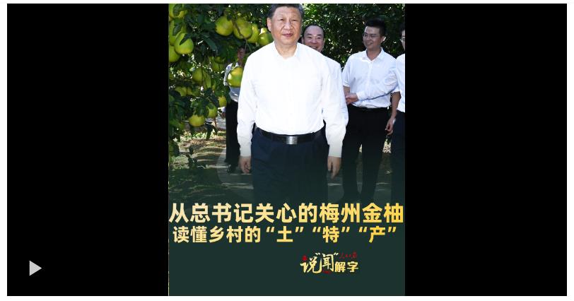 說“聞”解字·從總書記關心的梅州金柚，讀懂鄉(xiāng)村的“土”“特”“產”