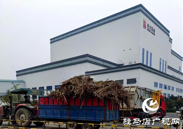 平輿縣萬金店鎮(zhèn):秋防一線踐初心 秸稈“變寶”惠民生