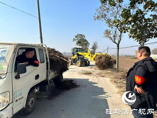 平輿縣萬金店鎮(zhèn):秋防一線踐初心 秸稈“變寶”惠民生