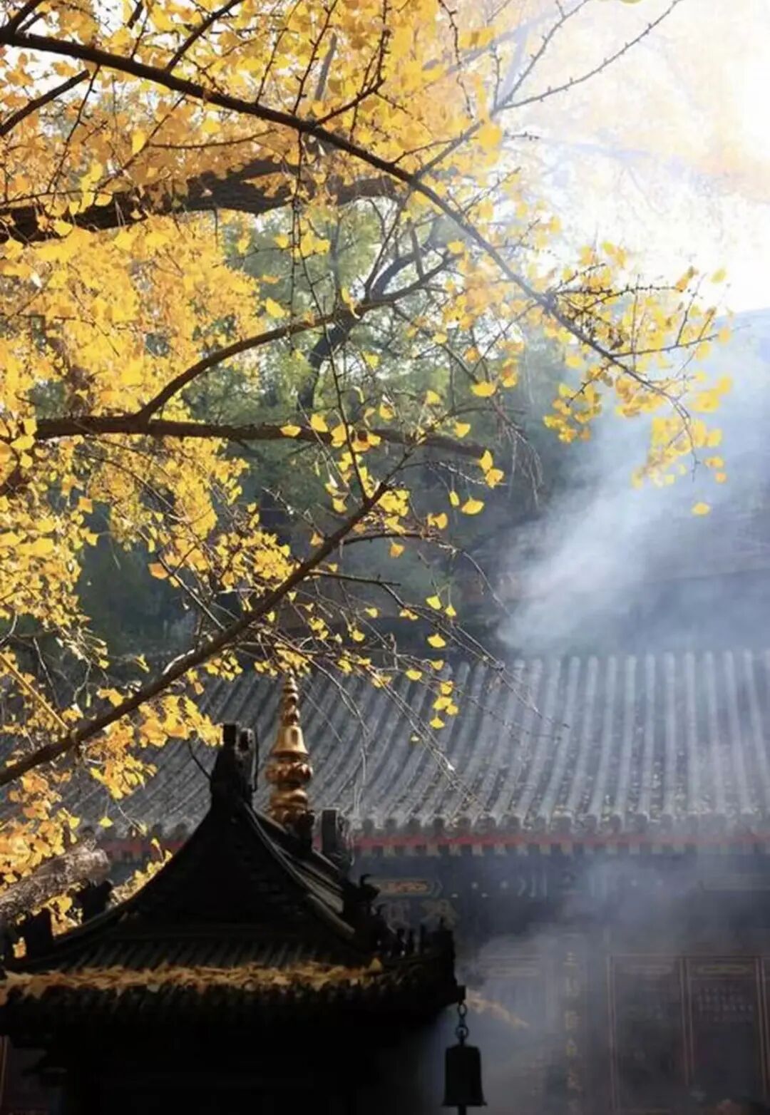 重磅！駐馬店秋日美景強(qiáng)勢上榜微博旅游推薦，這份賞秋指南請收好！