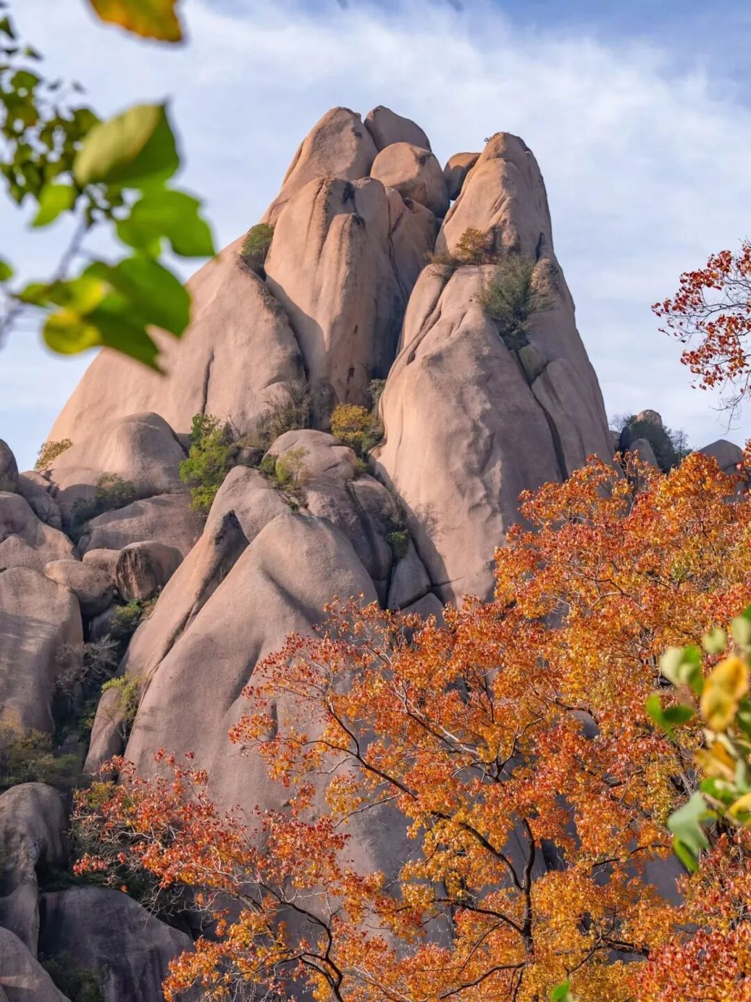 重磅！駐馬店秋日美景強(qiáng)勢上榜微博旅游推薦，這份賞秋指南請收好！