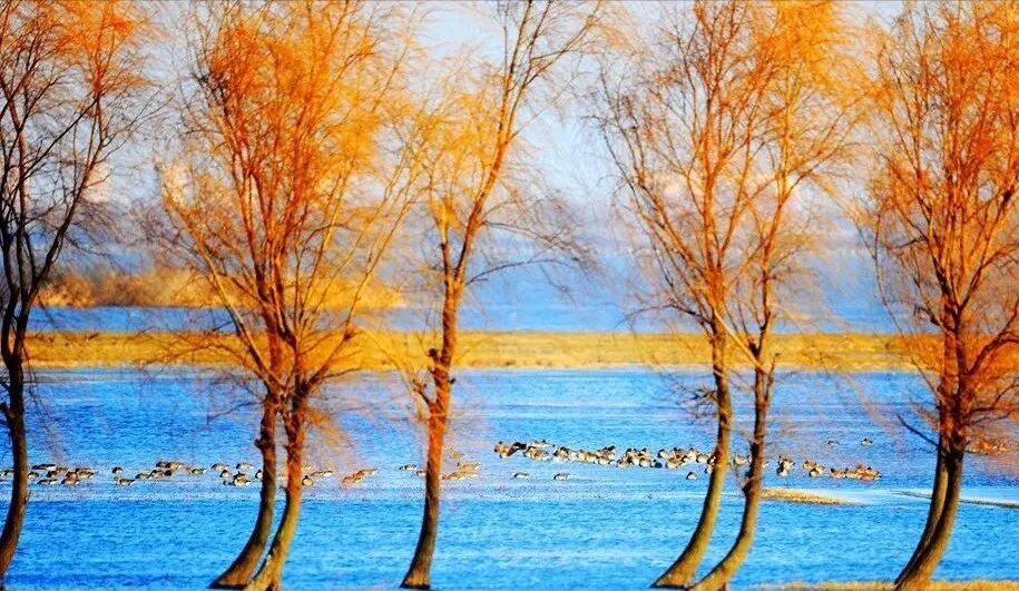 重磅！駐馬店秋日美景強(qiáng)勢上榜微博旅游推薦，這份賞秋指南請收好！