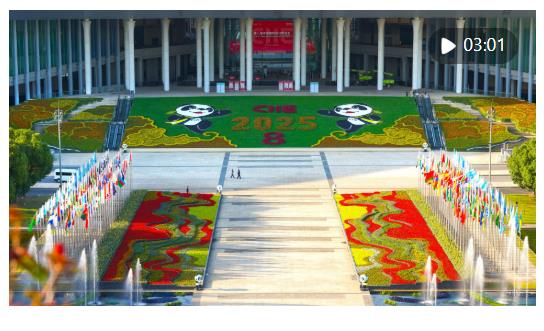 從“東方之約”到“世界機(jī)遇”：高水平開放的進(jìn)博實(shí)踐