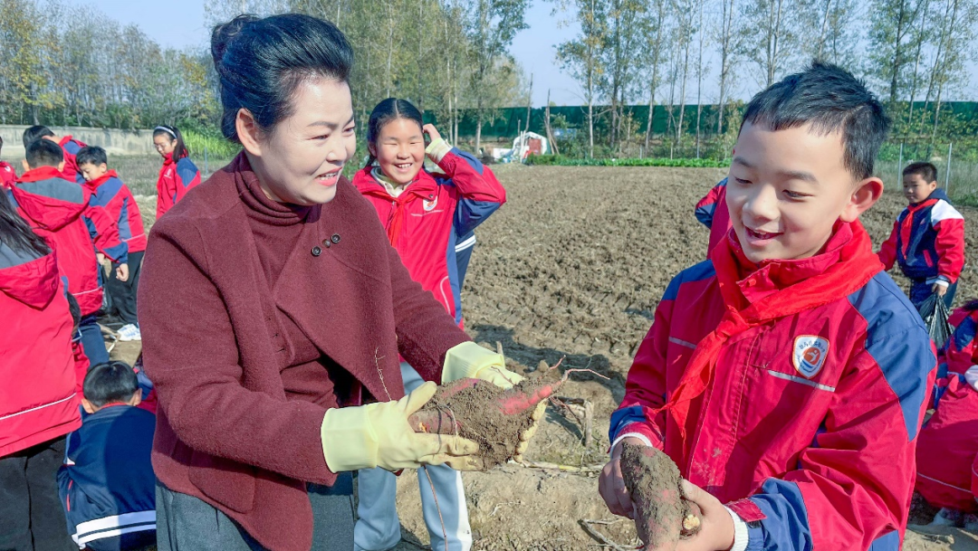 駐馬店實(shí)驗(yàn)小學(xué):田間挖薯趣無(wú)窮 勞動(dòng)實(shí)踐樂(lè)融融
