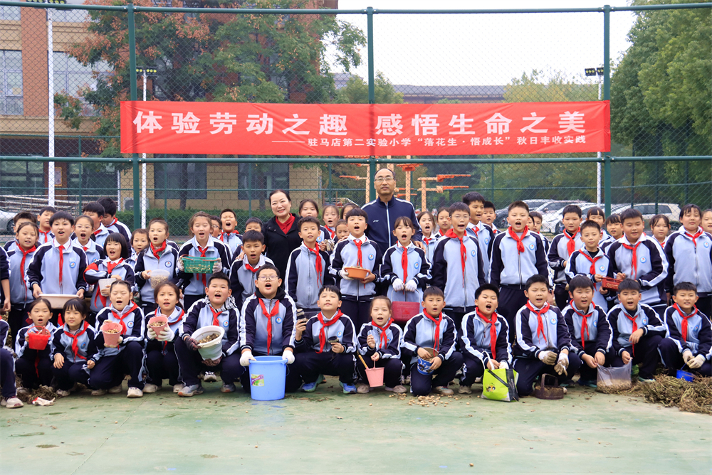 駐馬店第二實(shí)驗(yàn)小學(xué)開展“落花生?悟成長(zhǎng)”秋日豐收實(shí)踐活動(dòng)