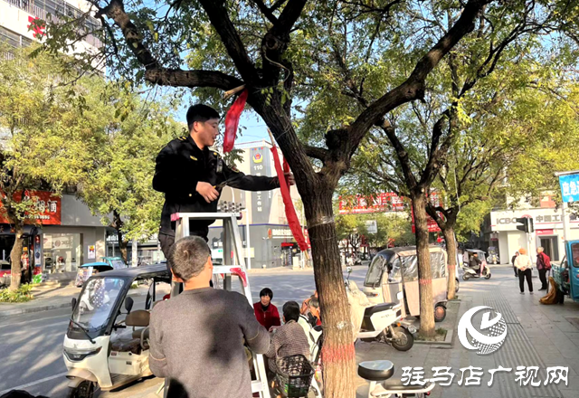 確山:用繡花功夫管好城市