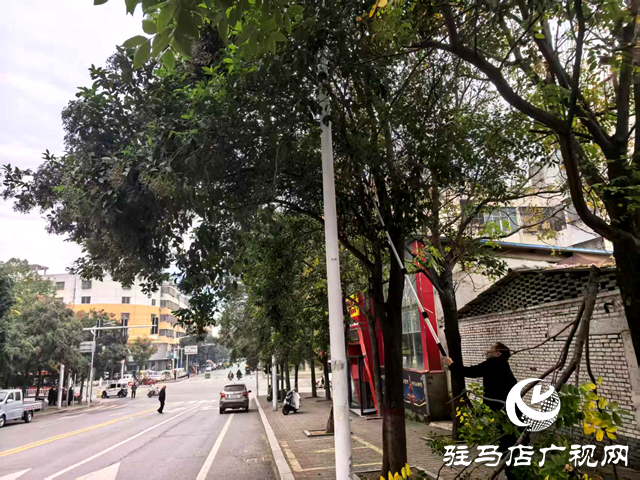 確山縣住建局:”接訴即辦”剪除隱患