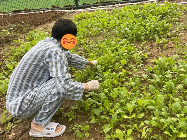 探尋健康新路徑:田園療法帶來身心治愈