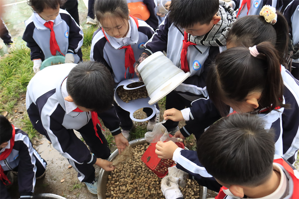駐馬店第二實(shí)驗(yàn)小學(xué)開展“落花生?悟成長(zhǎng)”秋日豐收實(shí)踐活動(dòng)