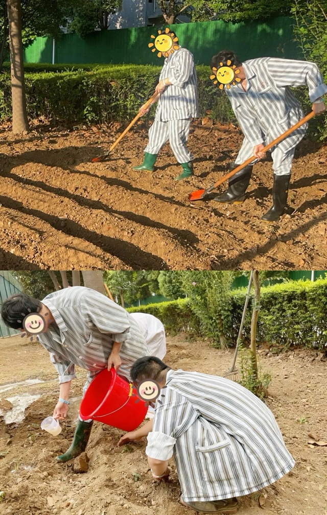 探尋健康新路徑:田園療法帶來身心治愈