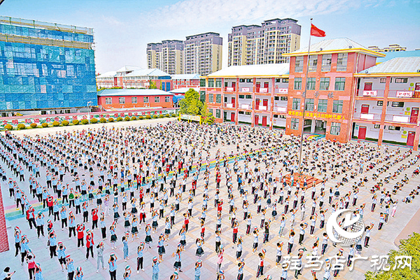 平輿縣：文明筑城暖民心民生答卷寫華章