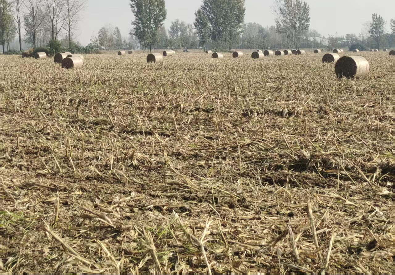 遂平縣玉山鎮(zhèn)：秸稈綜合利用，變廢為寶促增收