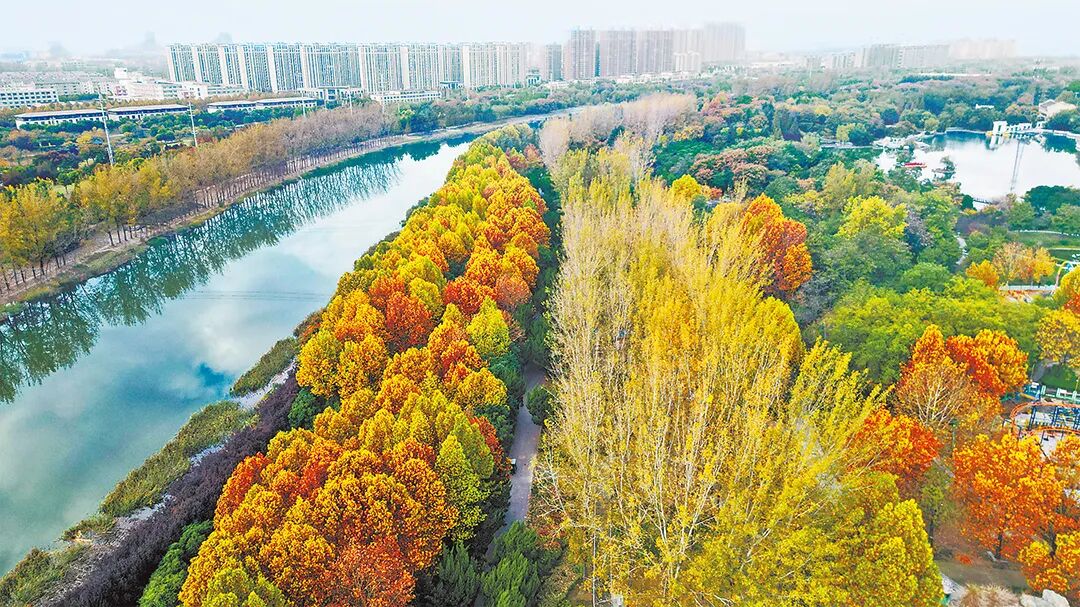 請打開“運河秋韻”畫卷！