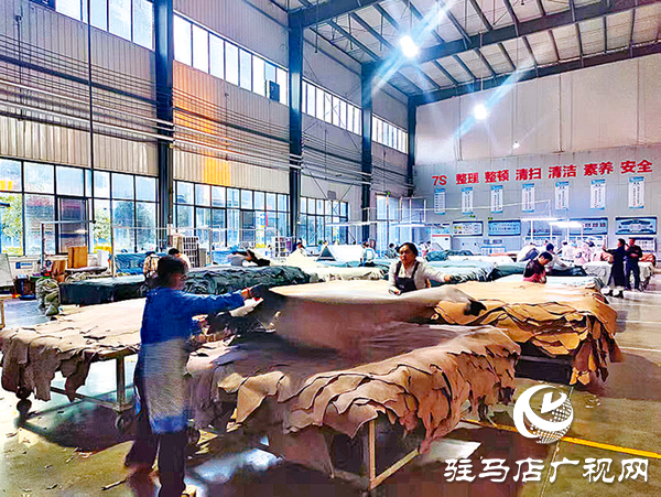 平輿答卷：“三園”模式解鎖強縣富民密碼