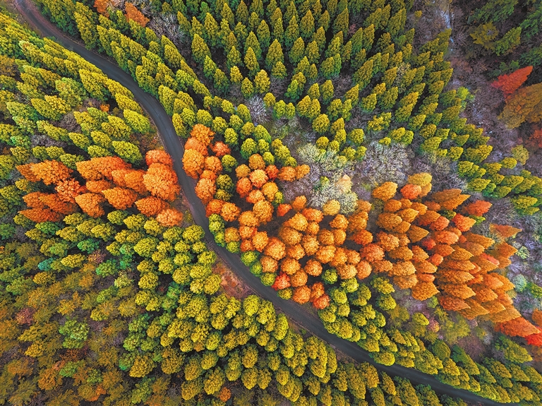 林海斑斕美如畫