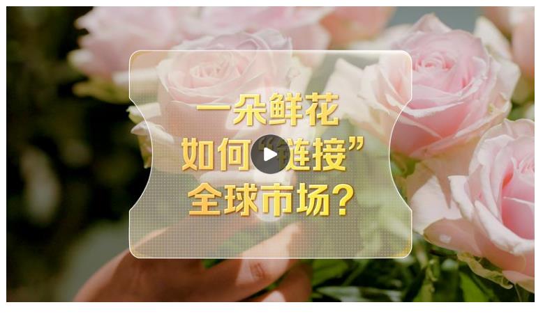 改革者 正青春｜一朵鮮花如何“鏈接”全球市場(chǎng)？
