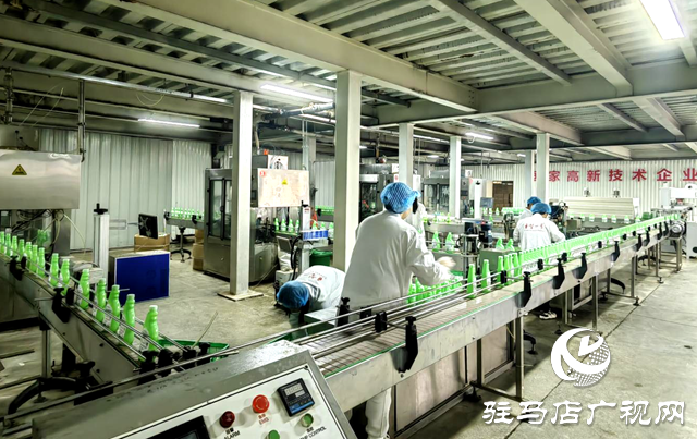 駐馬店市晨鐘生物科技：以現代化治理做強絲瓜產業(yè) 繪就鄉(xiāng)村振興“新樣本”