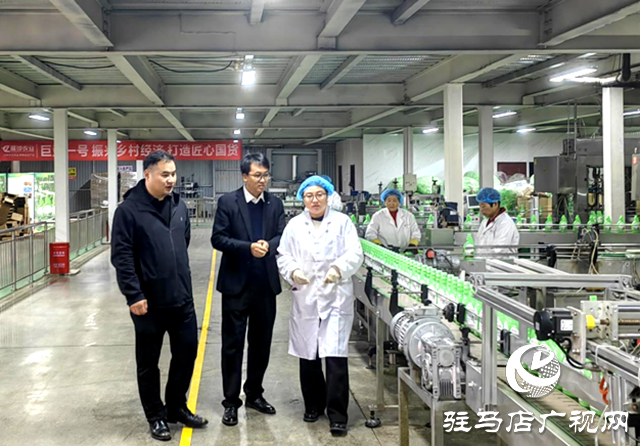 喬新鍵：絲瓜瓤中解鎖“除油黑科技” 匠心走出暖心共富路