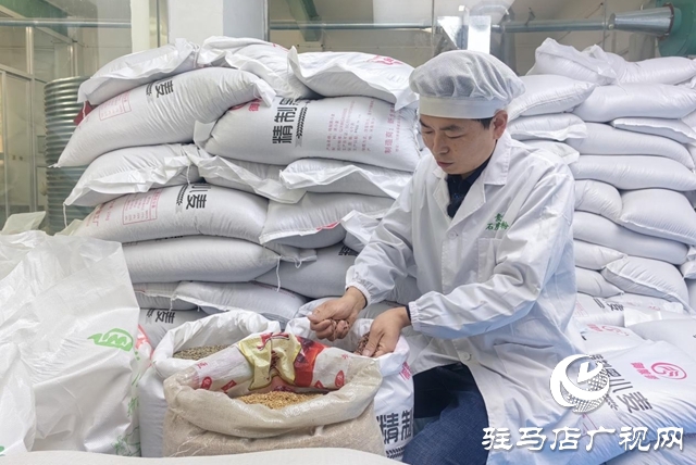 【天中“星”商】石磨轉(zhuǎn)出新“食”機(jī) 匠心鋪就振興路 