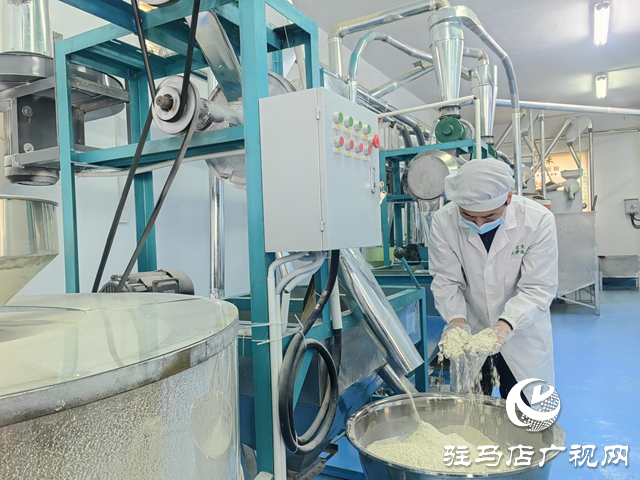 【天中“星”商】石磨轉(zhuǎn)出新“食”機(jī) 匠心鋪就振興路 