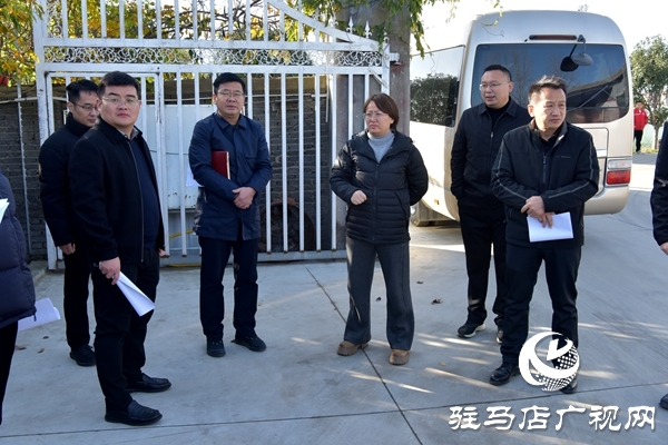 平輿縣委常委、常務副縣長韓靖帶隊開展安全生產檢查