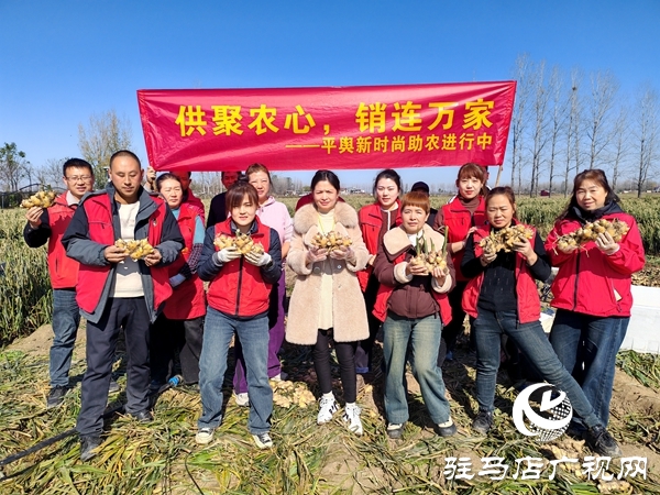 供聚農心 銷連萬家 駐馬店新時尚火龍果超市聯(lián)合平輿新時尚超市愛心助農解滯銷難題