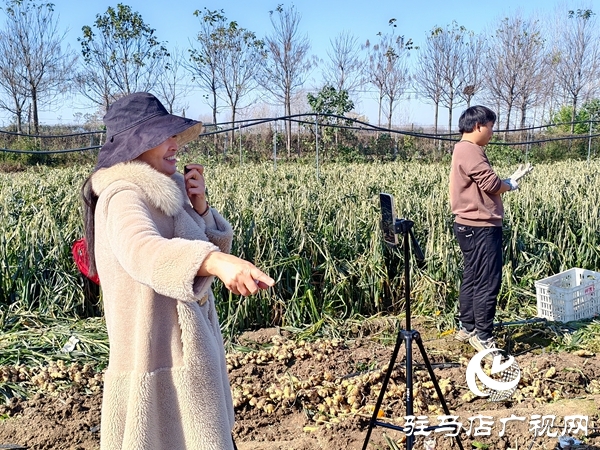 供聚農(nóng)心 銷連萬家 駐馬店新時尚火龍果超市聯(lián)合平輿新時尚超市愛心助農(nóng)解滯銷難題