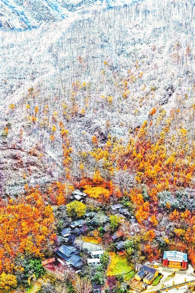 半山彩林半山雪