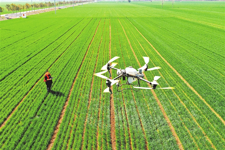 用好冬春農(nóng)田水利建設(shè)黃金期 筑牢“水脈”護(hù)“糧倉(cāng)”