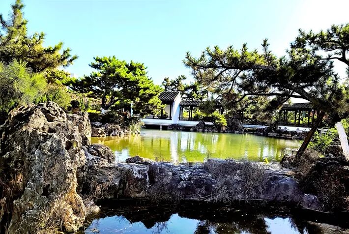 這個(gè)公園，初冬景致分外美