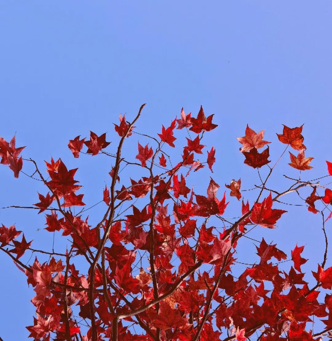 逃離城市計劃啟動→板橋響沖！
