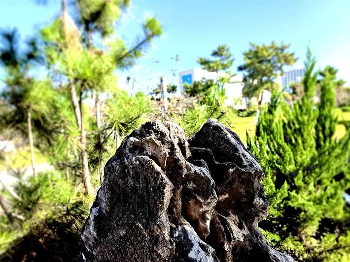 這個(gè)公園，初冬景致分外美