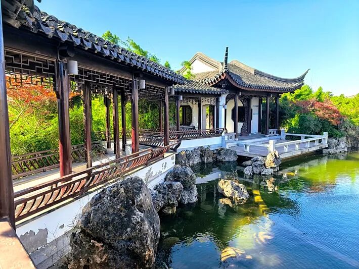 這個(gè)公園，初冬景致分外美