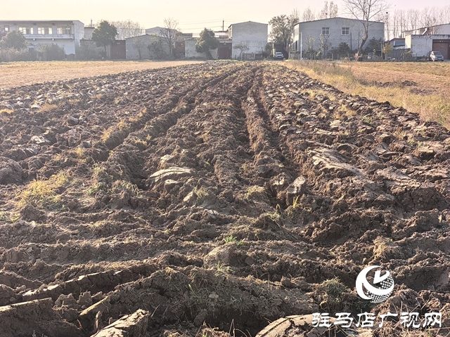 開(kāi)發(fā)區(qū)關(guān)王廟鄉(xiāng)：搶抓農(nóng)時(shí) 扎實(shí)推進(jìn)冬小麥有序播種