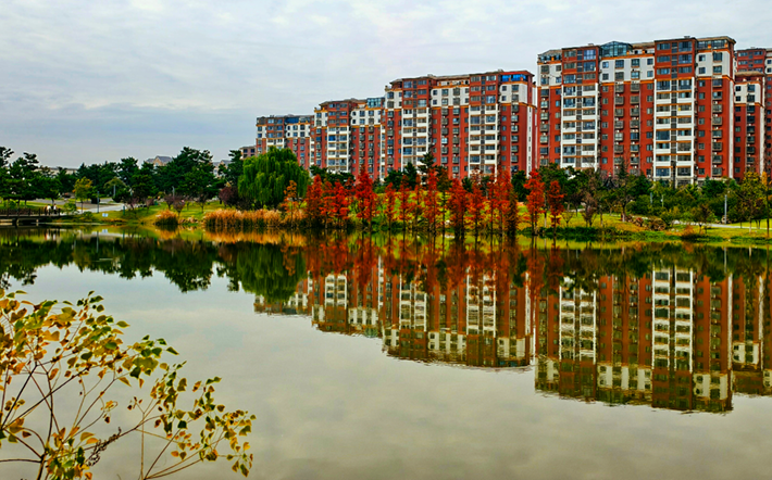 縣區(qū)動(dòng)態(tài)｜水杉披“紅裝” 晴光暖玉湖