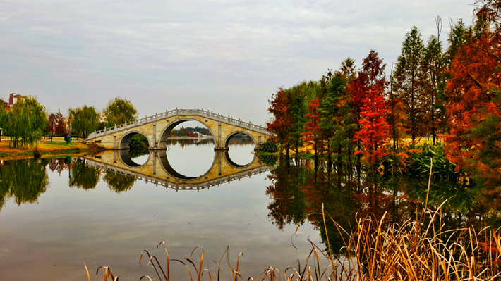 縣區(qū)動(dòng)態(tài)｜水杉披“紅裝” 晴光暖玉湖