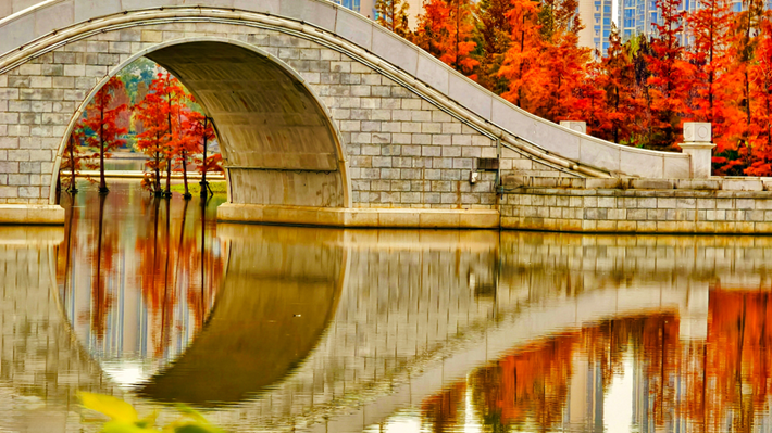 縣區(qū)動(dòng)態(tài)｜水杉披“紅裝” 晴光暖玉湖