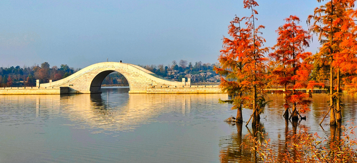 縣區(qū)動(dòng)態(tài)｜水杉披“紅裝” 晴光暖玉湖