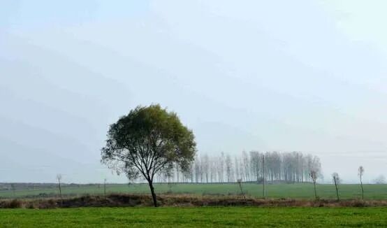 縣區(qū)動(dòng)態(tài) | 象河鄉(xiāng)有兩個(gè)寶藏游玩地，每一個(gè)都值得奔赴